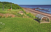 CANADA;PRINCE_EDWARD_ISLAND;PRINCE_COUNTY;CAP_EGMONT;LOBSTER_TRAPS;TRAPS;FOXES;B